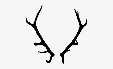 Elk Antler Vector at Vectorified.com | Collection of Elk Antler Vector ...