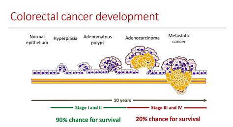 Colorectal Cancer – More People Screened, More Lives Saved. | BioVendor R&D