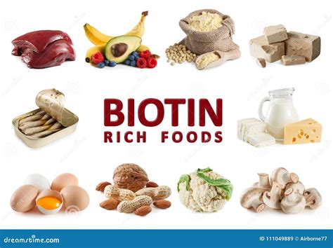 Foods Rich in Biotin Vitamin B7 Stock Image - Image of soybean, avocado ...