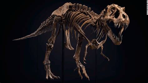 T. rex skeleton sells for $31.8 million setting new world record - CNN ...