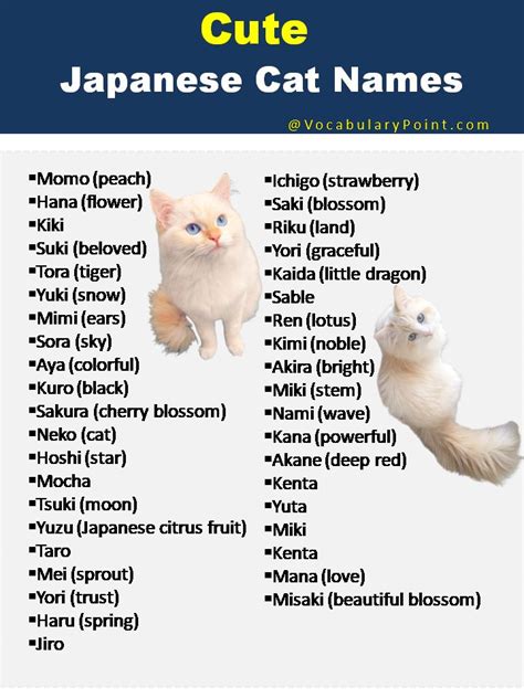 200+ Best Japanese Cat Names | Cute pet names, Japanese cat, Cat names