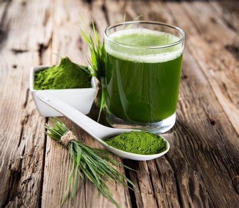 Wheatgrass Juice: the Most Alkalizing Juice You Should Be Drinking ...