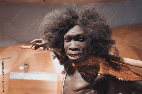 Foto de 22 July 2022, Neanderthal museum, Germany: Detailed wax figure of a Erectus Turkana Boy ...