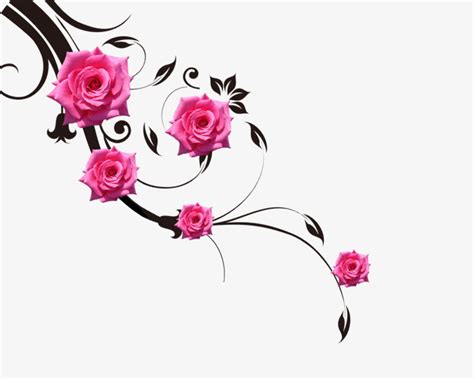 rose vines clipart 10 free Cliparts | Download images on Clipground 2024