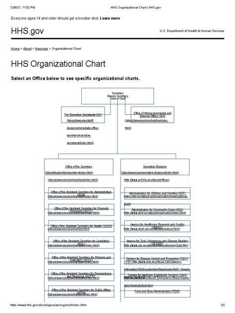 Hhs Organizational Chart Hhs | PDF | United States Department Of Health And Human Services ...