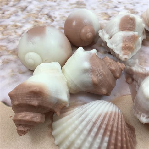 Shell Shaped Soap | 6 Shell Soaps | Shell Soap Set – SoapArt, LLC