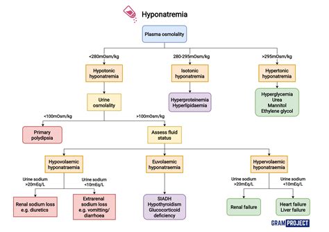 Hyponatremia Differential Diagnosis Chart | sexiezpix Web Porn