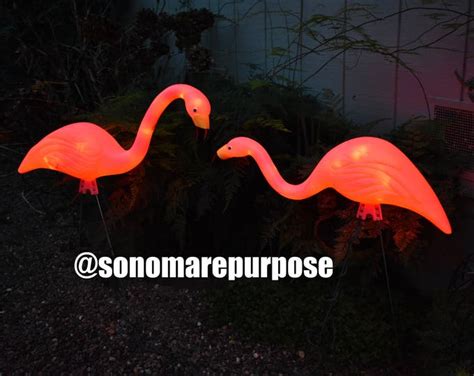 Pink Flamingo Lights Set of 2 for Garden or Yard Outdoor - Etsy