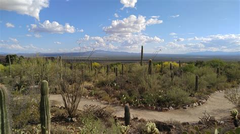 Arizona-Sonora Desert Museum | Life Untethered