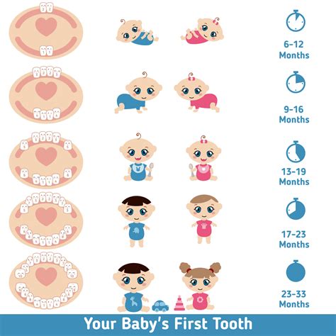 Baby Teething: Signs, Symptoms, Remedies, and FAQs - St. Johns Pediatric Dentistry | Teething ...