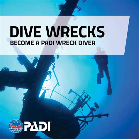 Dive Training & PADI Certifications | Pro Dive International