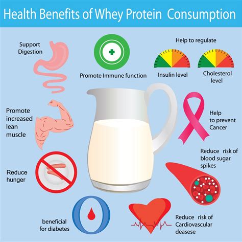 What are the health benefits of whey protein