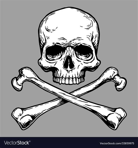 Jolly roger pirate skull head and crossed bones Vector Image