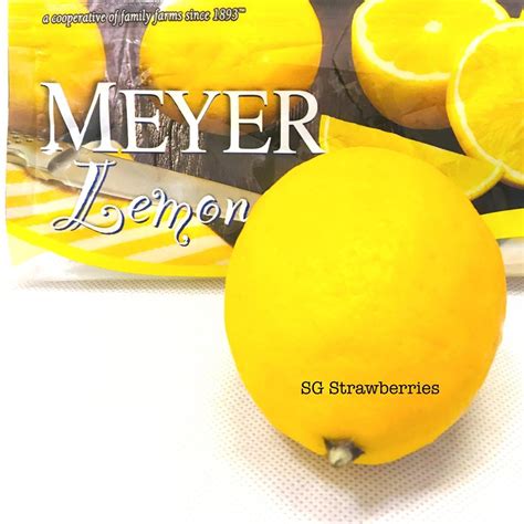 Meyer Lemons’ Journey – Growing Strawberries and Other Cool Stuff in ...