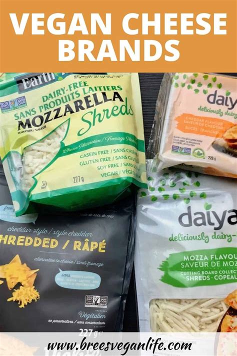 Popular Vegan Cheese Brands That Make Delicious Cheese Alternatives