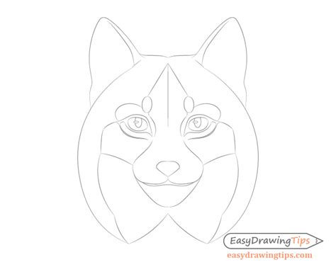 How to Draw a Lynx Face & Head Step by Step - EasyDrawingTips