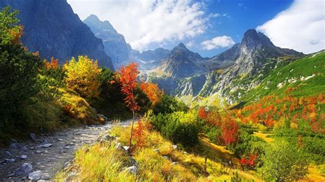 Thanksgiving Wallpapers: Autumn Scenery Wallpaper, Autumn Nature Scenery Wallpapers