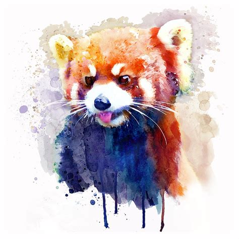 Red Panda Watercolor Print Art & Collectibles Digital Prints jan-takayama.com