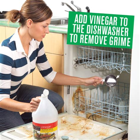 How To Clean The Dishwasher With Vinegar - Australian Handyman Magazine