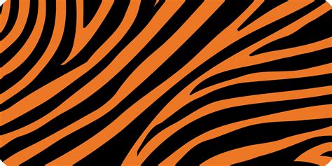 Tiger Pattern Vector at GetDrawings | Free download