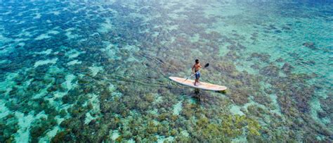 Wakatobi: Activities