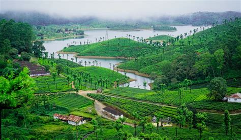 Tourist places in Valparai | Housing News