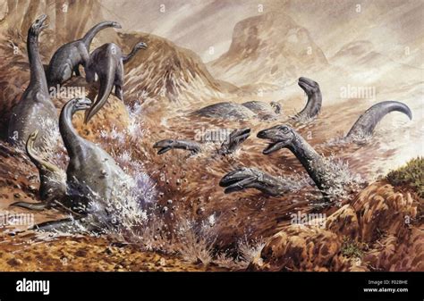 Palaeozoology - Triassic period - Dinosaurs - Plateosaurus - Art work by John Francis Stock ...