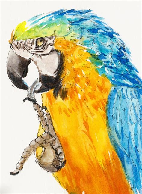 Happy Birthday Parrot for Robin | Jana Bouc, Artist