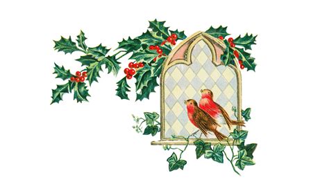 Christmas Holly Robin Free Stock Photo - Public Domain Pictures