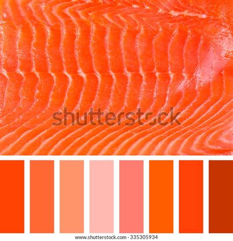 196 Salmon Color Chart Images, Stock Photos, 3D objects, & Vectors | Shutterstock