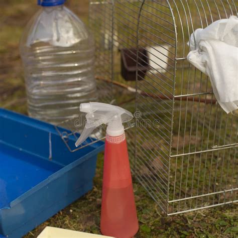 Cleaning a pet cage stock image. Image of outdoor, cleaning - 144768443