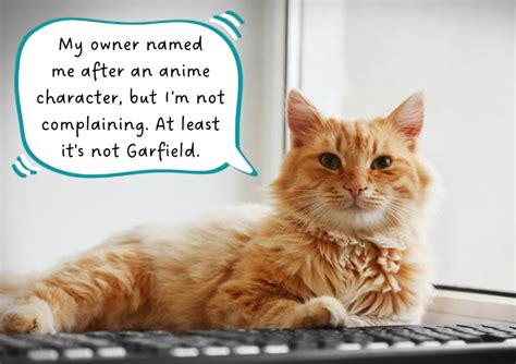 300+ Kawaii Anime Cat Names for Your Neko | Meows 'n' Paws