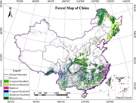 Bamboo Forest China Map