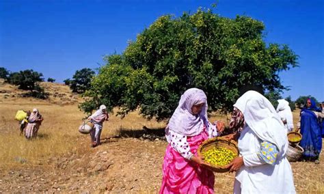 Benefits and Special Uses of Argan Oil from Morocco