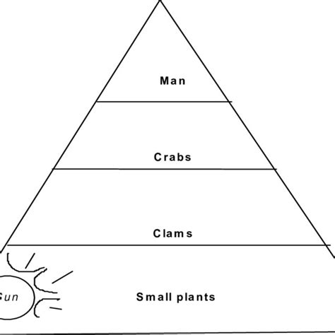 Food Pyramid. A sample food pyramid, as used in the example below ...