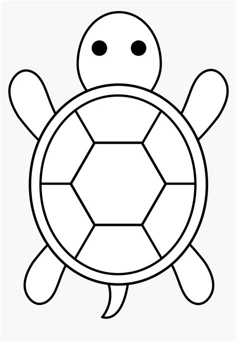 Tortoise Shell Drawing