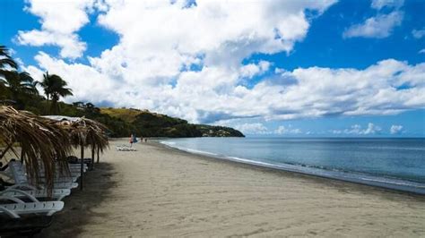 the beach is lined with lounge chairs and palm trees, under a partly cloudy blue sky