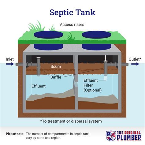 how a septic tank system works - Adolfo Libby