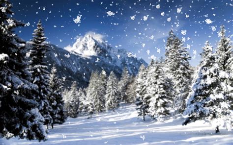 Winter Blizzard Wallpaper - WallpaperSafari