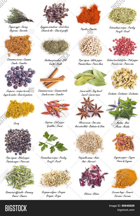 Herbs Spices Cooking Image & Photo (Free Trial) | Bigstock