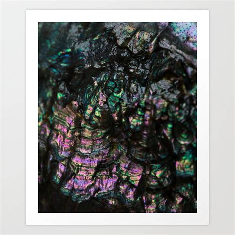 Abalone Shell 4 Art Print by AURA | Society6