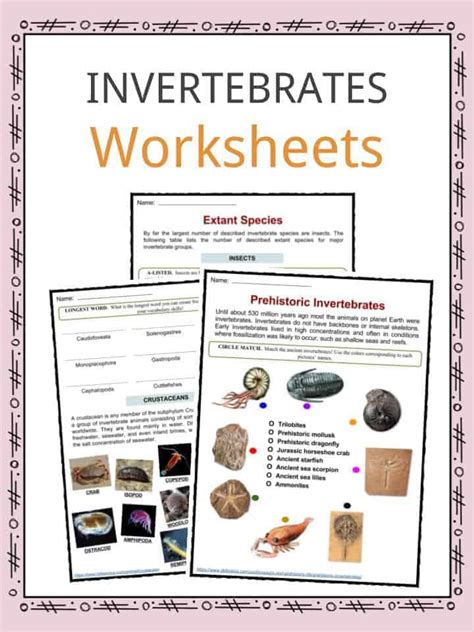 Invertebrate Facts & Worksheets | Types, Anatomy, Species Info For Kids