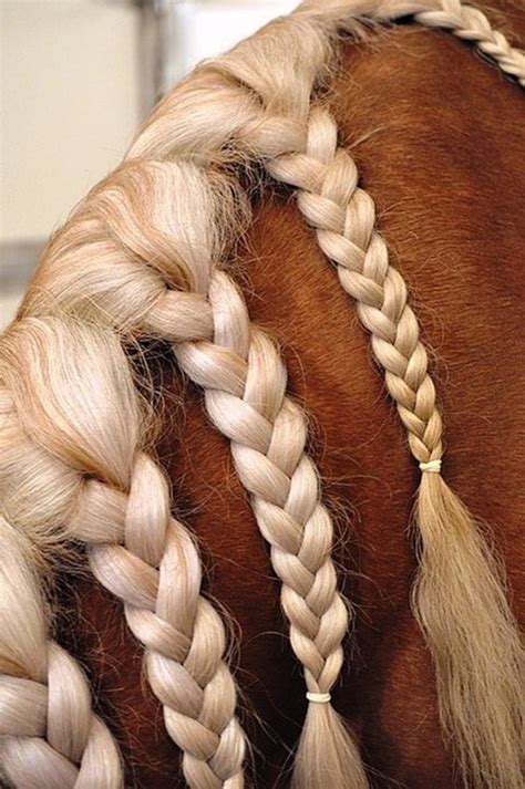 30 Amazing Horse Tail Braids Ideas to make Your Friends Jealous - Tail and Fur