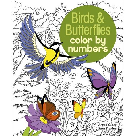 Arcturus Color by Numbers Collection: Birds & Butterflies Color by Numbers (Paperback) - Walmart ...