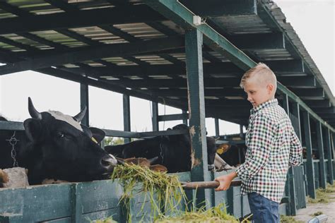 The Benefits of Raising Farm Animals for Kids - Wathen Insurance