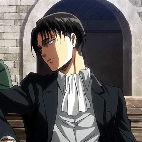 Levi Ackerman Aot Gif Pfp Search discover and share your favorite levi ...