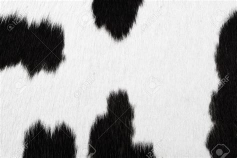 🔥 [34+] Cowhide Background | WallpaperSafari