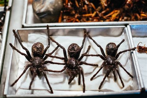 "Fried Spiders. Street Food In Thailand." by Stocksy Contributor "Mauro ...