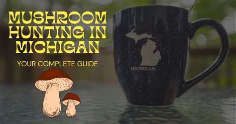 Mushroom Hunting in Michigan (Everything You Need to Know) - Tiny Living Life