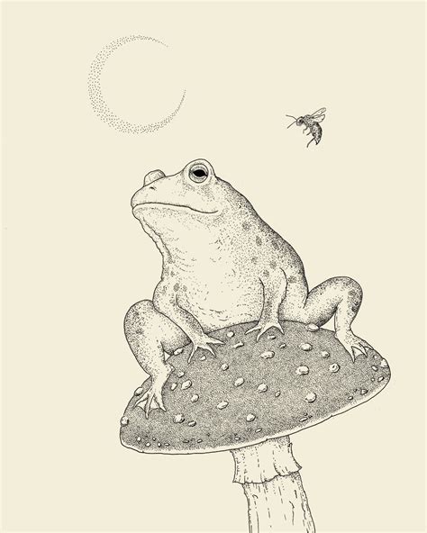 Discover 139+ frog drawing step by step - vietkidsiq.edu.vn